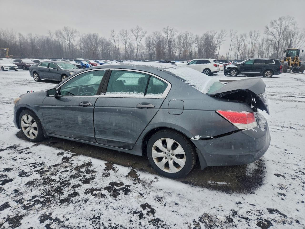 Lot #3317702141 2009 HONDA ACCORD EXL