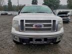 Lot #3305493132 2010 FORD F150 SUPER