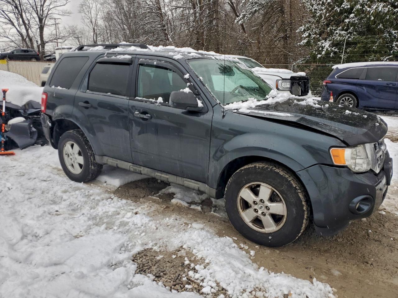 Lot #3311688218 2009 FORD ESCAPE XLT