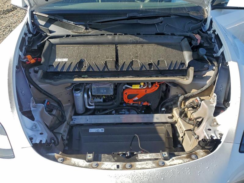 2023 TESLA MODEL Y #3303862787