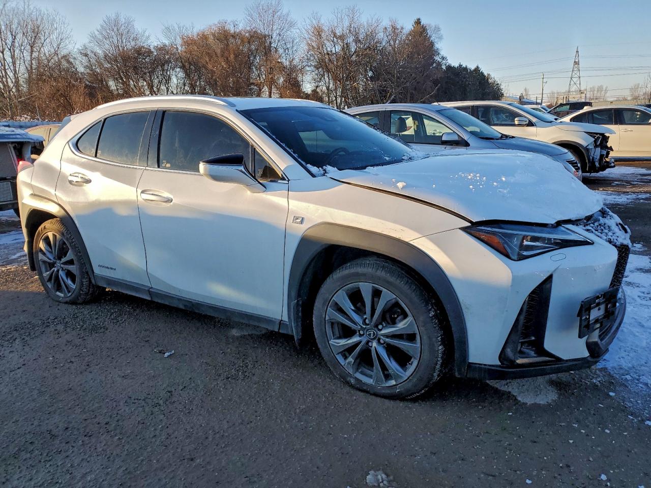 LEXUS UX 250H