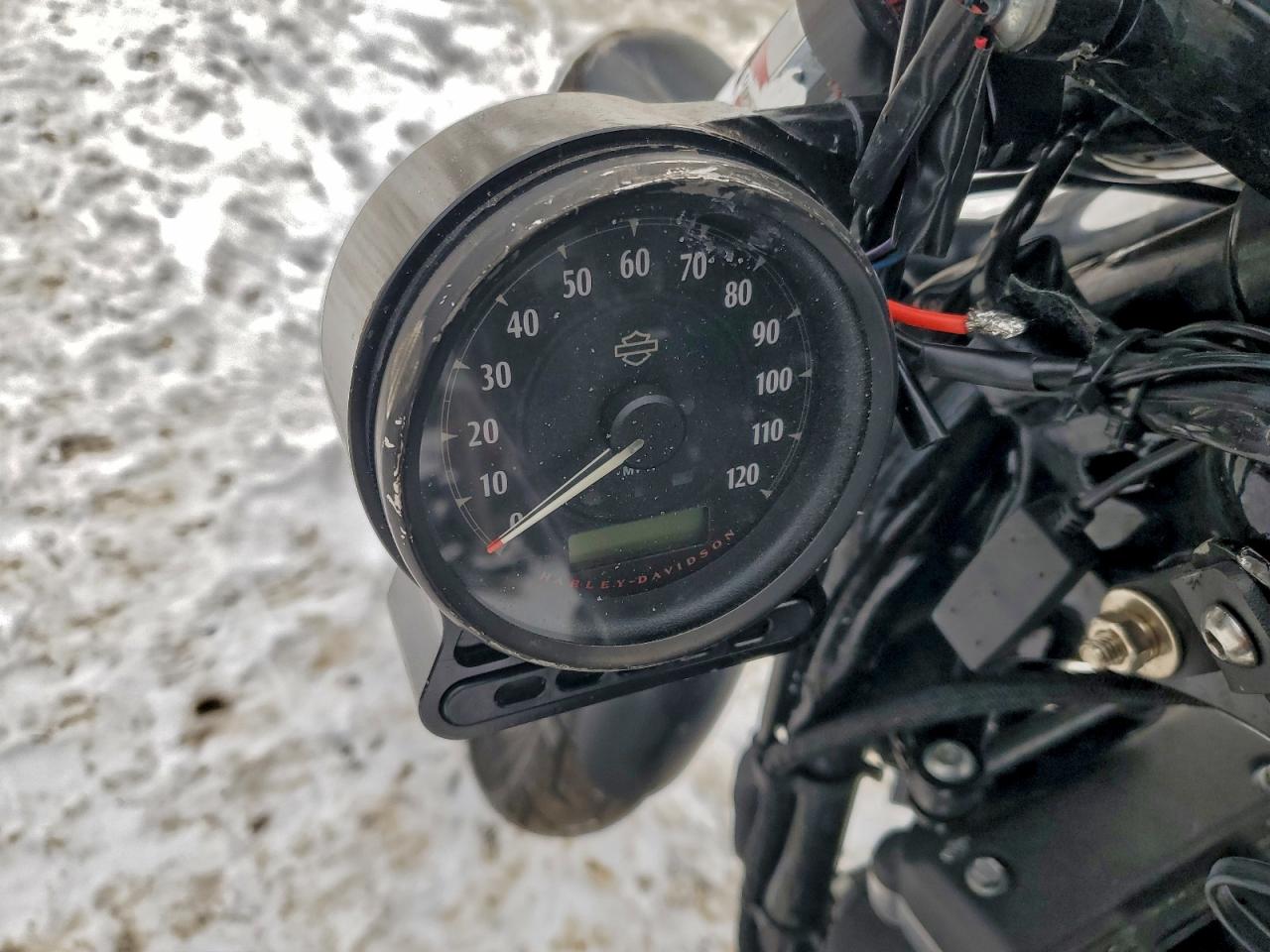 Lot #3317793149 2019 HARLEY-DAVIDSON XL883 N