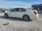 Lot #3311543245 2007 NISSAN MAXIMA SE