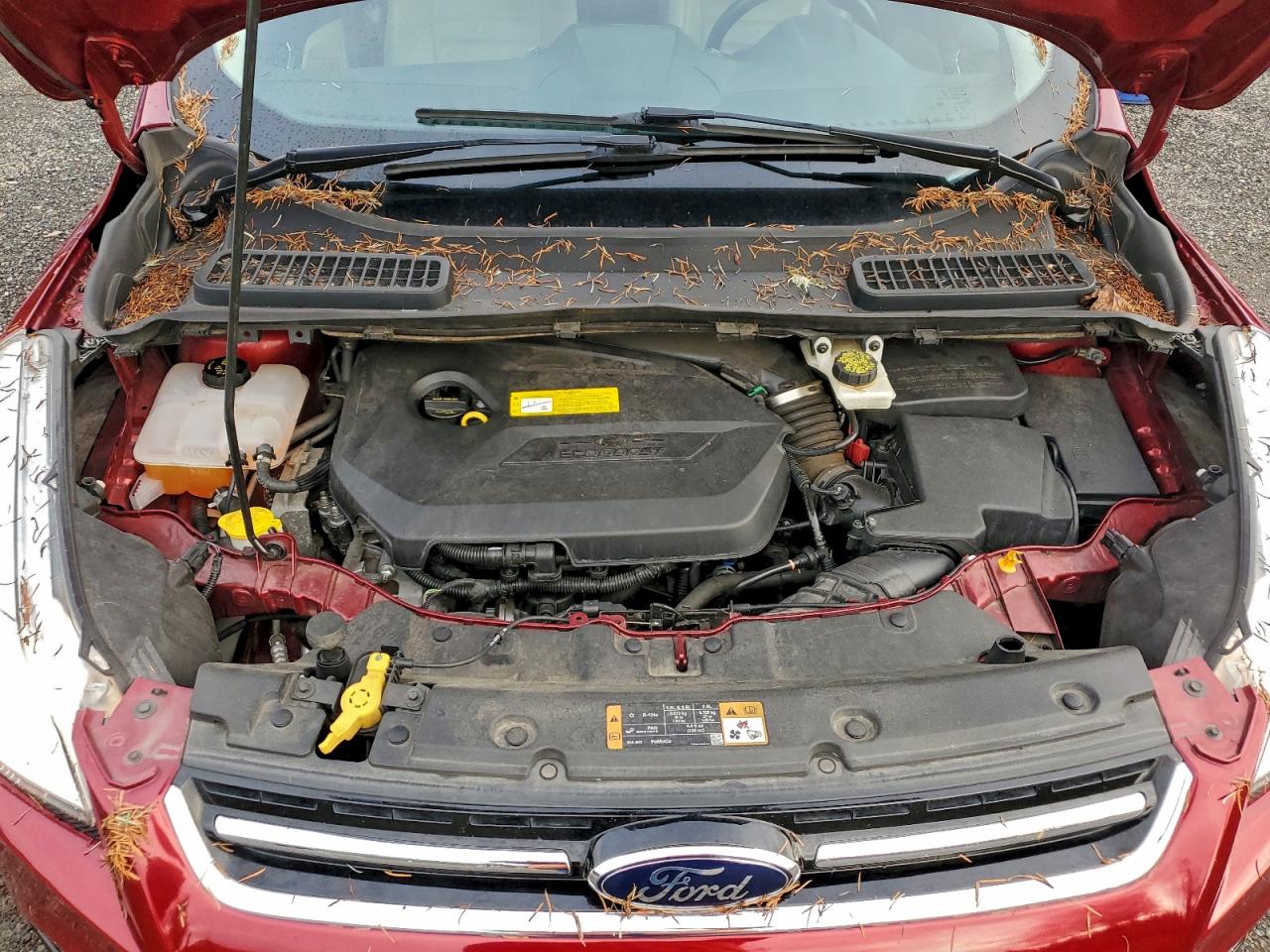 Lot #3316081292 2014 FORD ESCAPE TIT