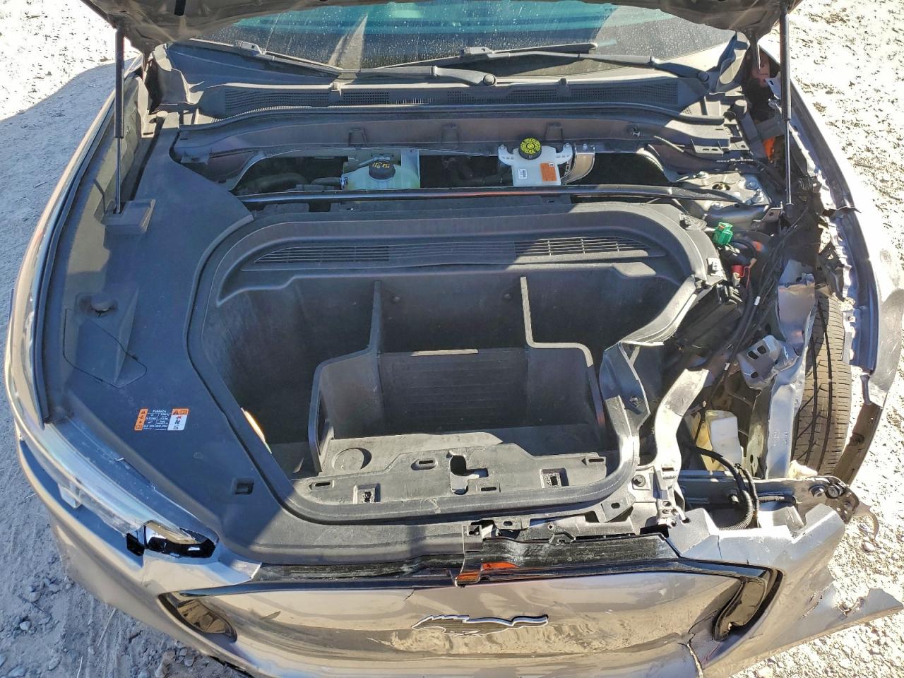 Lot #3311609281 2021 FORD MUSTANG MA