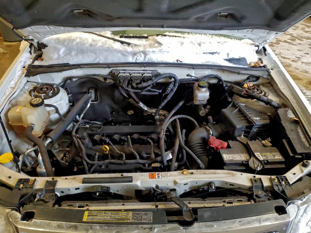 Lot #3316822397 2010 FORD ESCAPE XLT