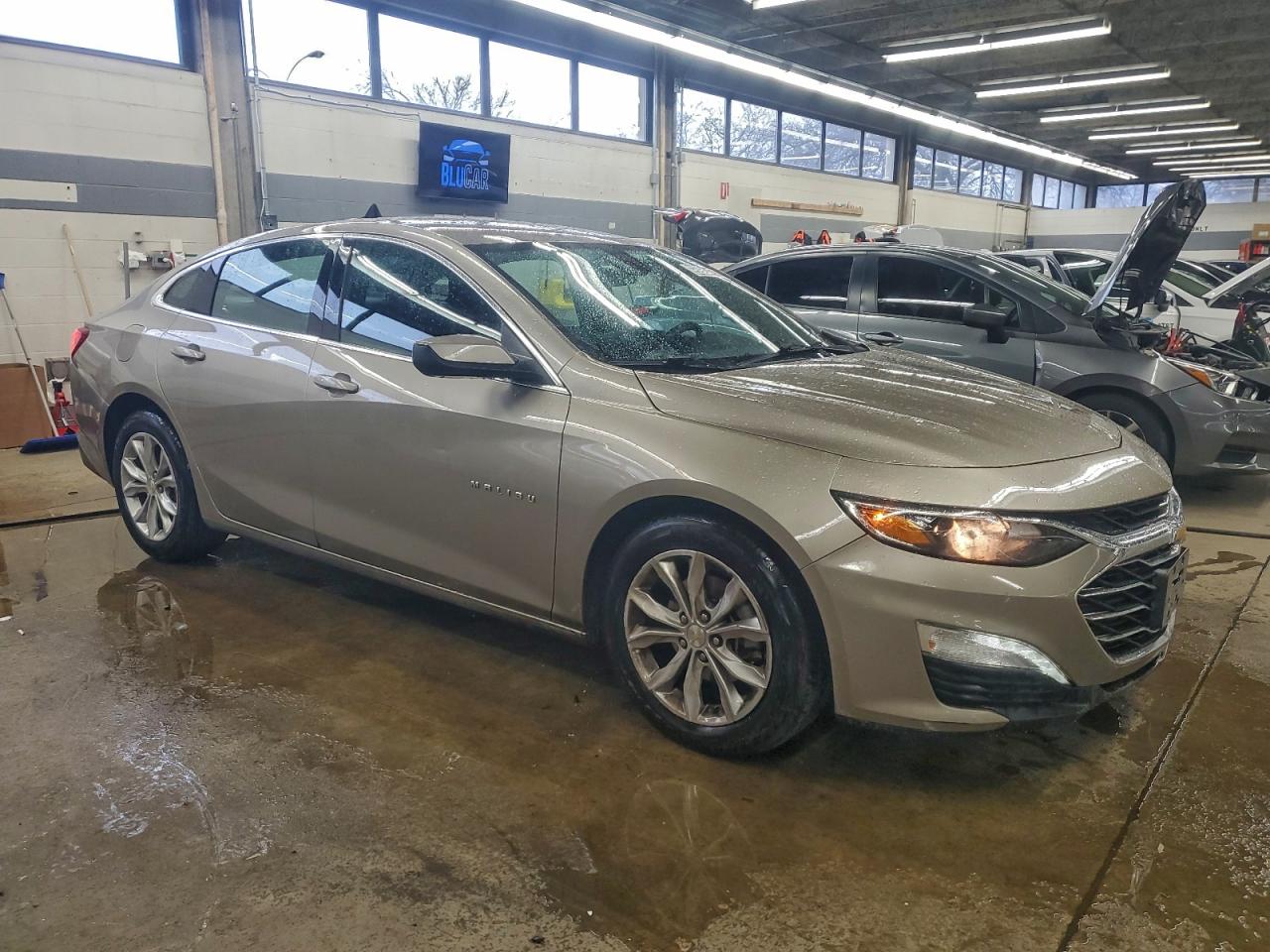 Lot #3315659775 2022 CHEVROLET MALIBU LT