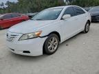 Lot #3301660689 2009 TOYOTA CAMRY BASE