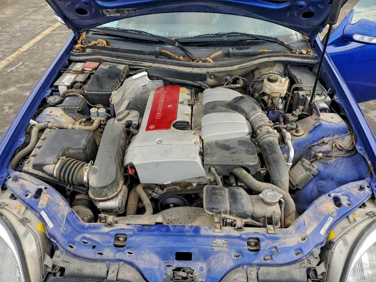 Lot #3316755425 2001 MERCEDES-BENZ SLK 230 KO