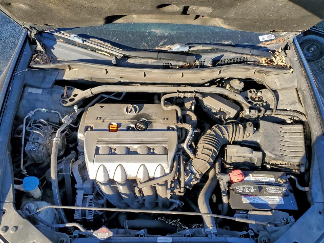 Lot #3311650245 2011 ACURA TSX