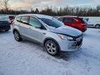 Lot #3316722468 2016 FORD ESCAPE SE