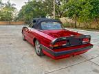 Lot #3303730439 1988 ALFA ROMEO SPIDER QUA