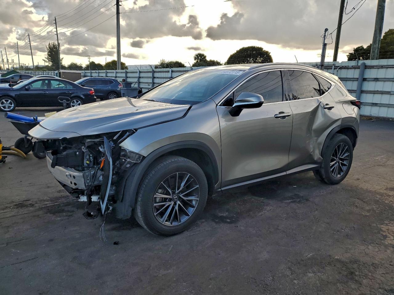 LEXUS NX 250 PREMIUM