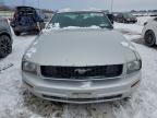 Lot #3304523526 2009 FORD MUSTANG
