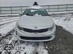 Lot #3305529082 2016 KIA OPTIMA LX