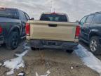 Lot #3320050485 2024 CHEVROLET COLORADO