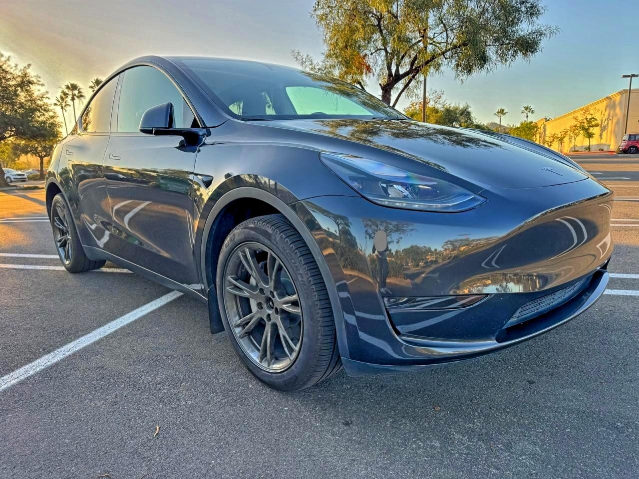 Lot #3308243185 2025 TESLA MODEL Y