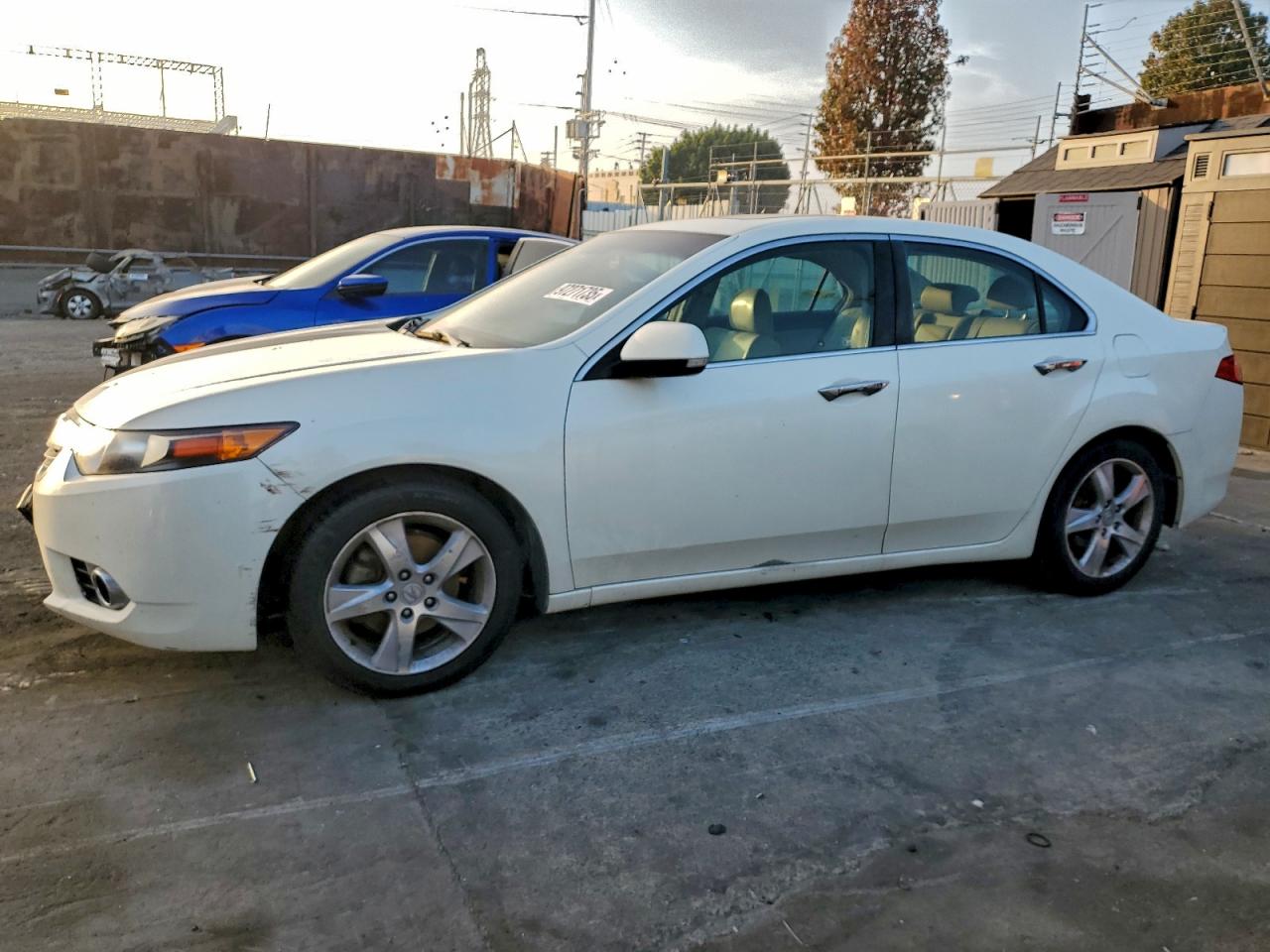 Lot #3317807088 2011 ACURA TSX