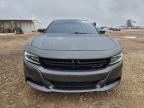Lot #3317806077 2019 DODGE CHARGER SX