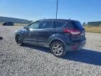 Lot #3312476619 2013 FORD ESCAPE SEL