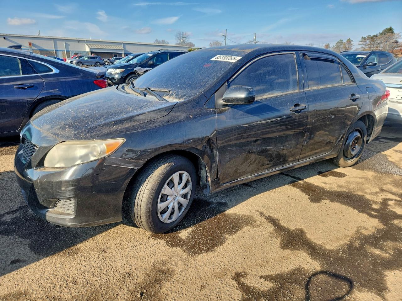Lot #3308214343 2010 TOYOTA COROLLA BA