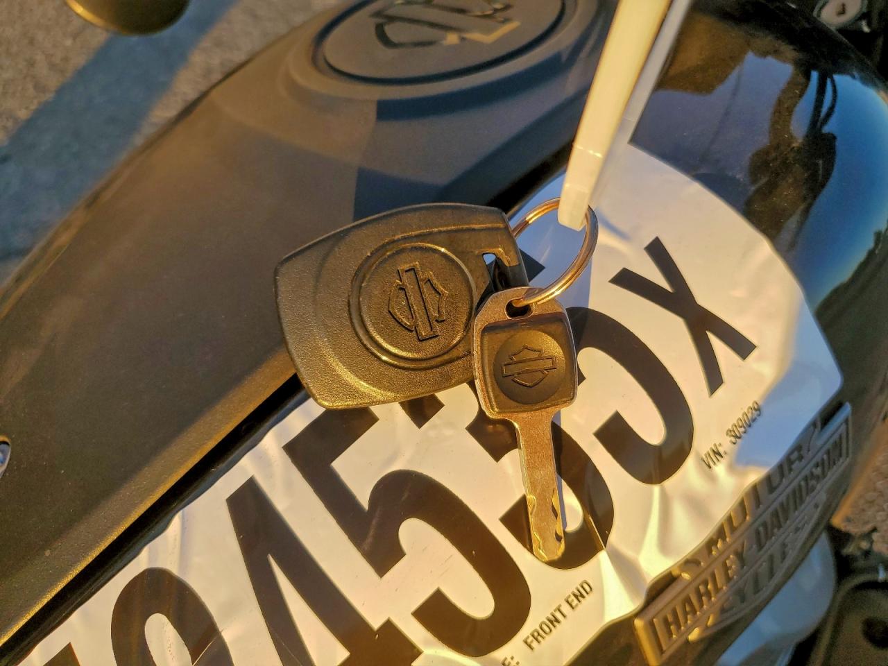 Lot #3317102991 2024 HARLEY-DAVIDSON RH975