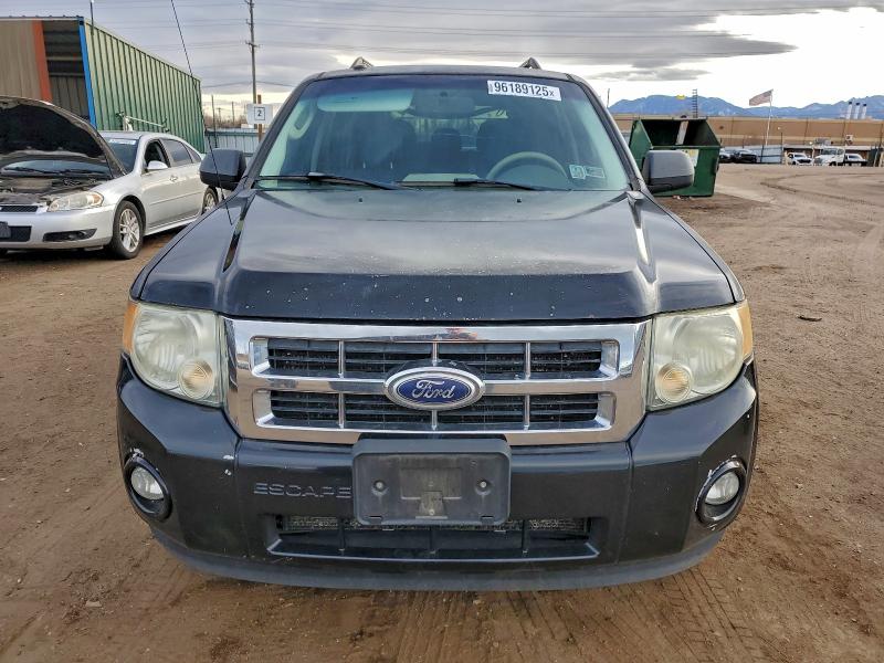 2010 FORD ESCAPE XLT #3312654159