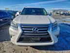 Lot #3305407302 2014 LEXUS GX 460