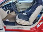Lot #3313702150 2005 FORD MUSTANG