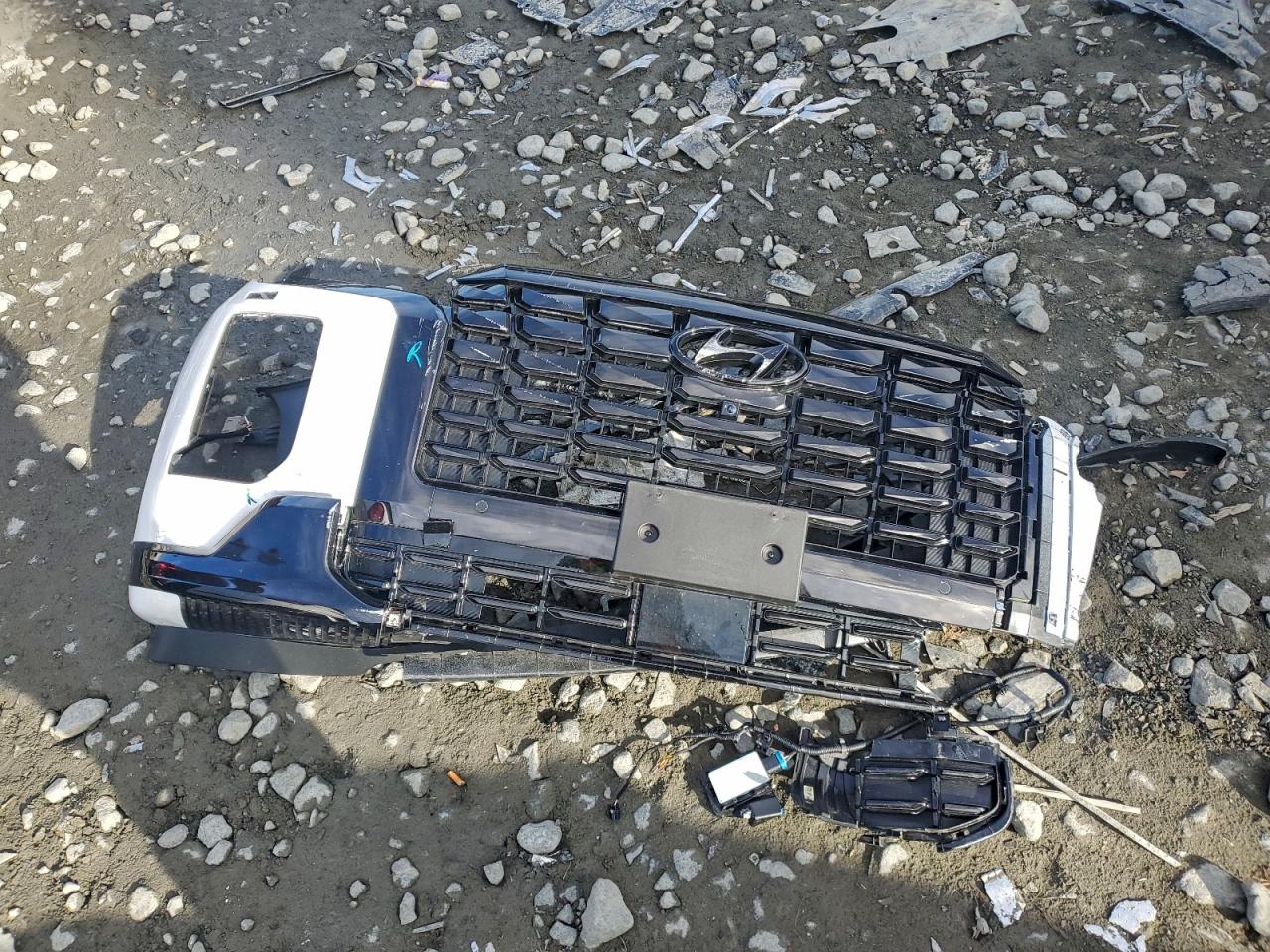 HYUNDAI PALISADE CALLIGRAPHY