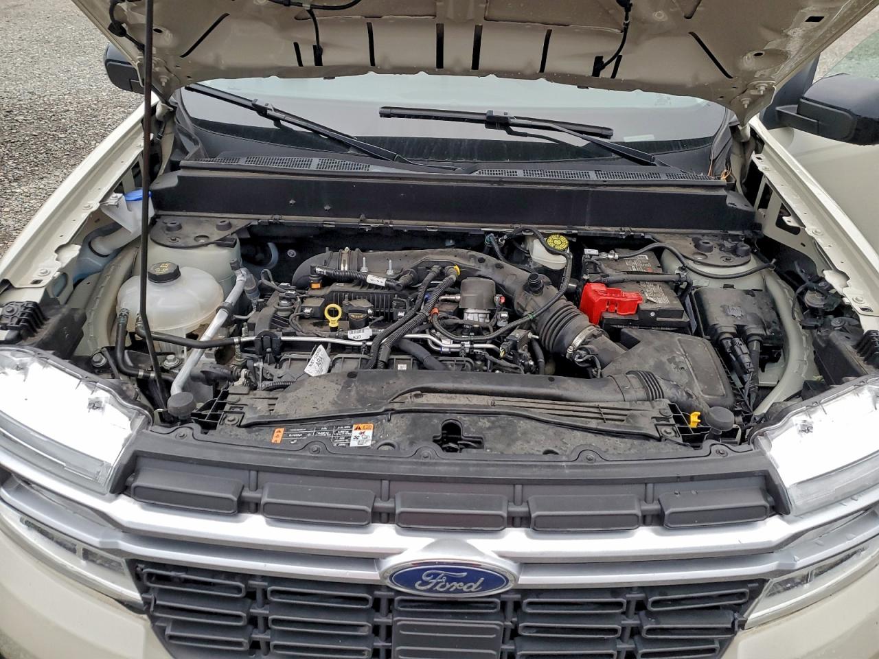 Lot #3303605934 2024 FORD MAVERICK L