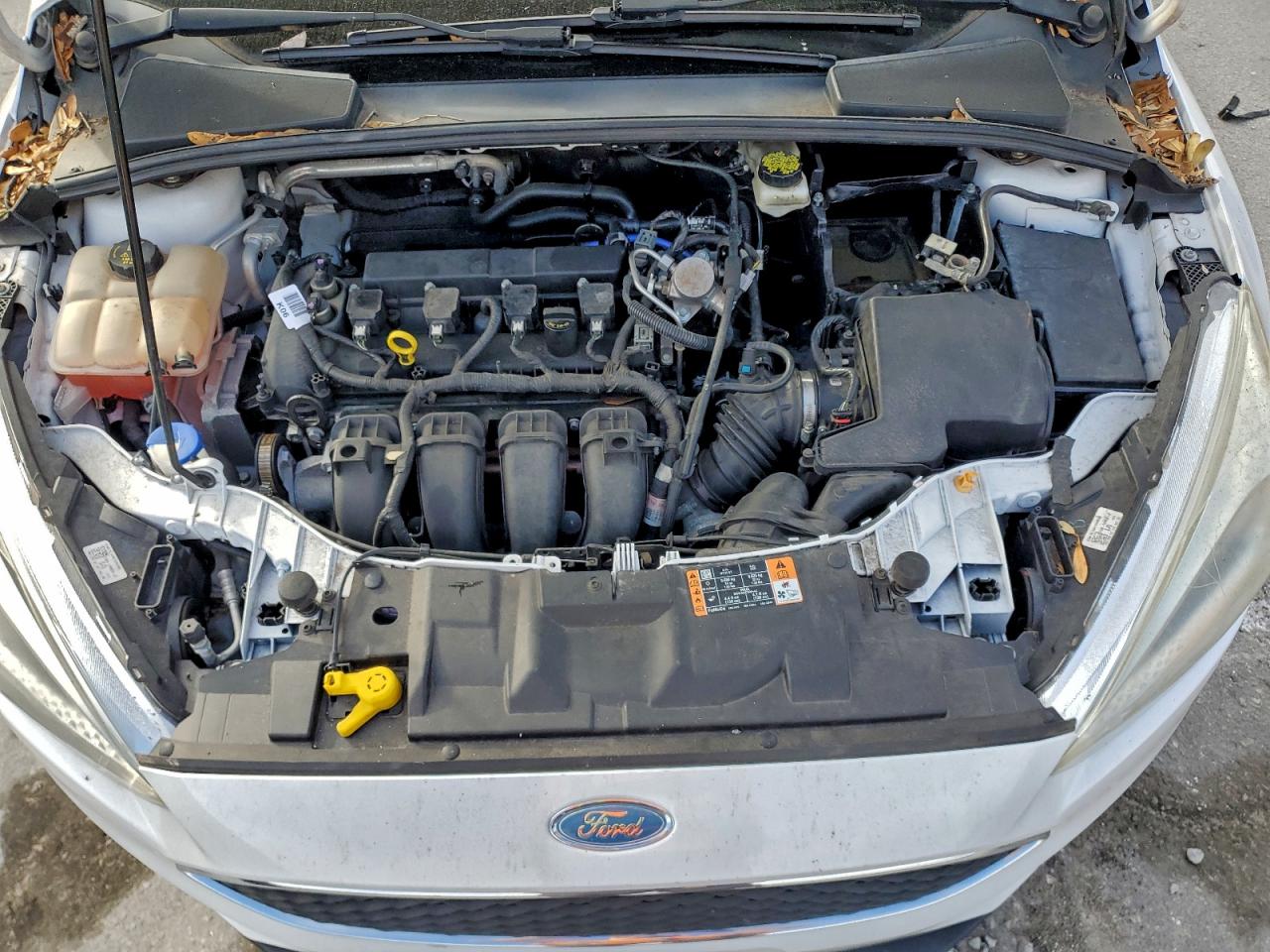 Lot #3317728085 2017 FORD FOCUS SE