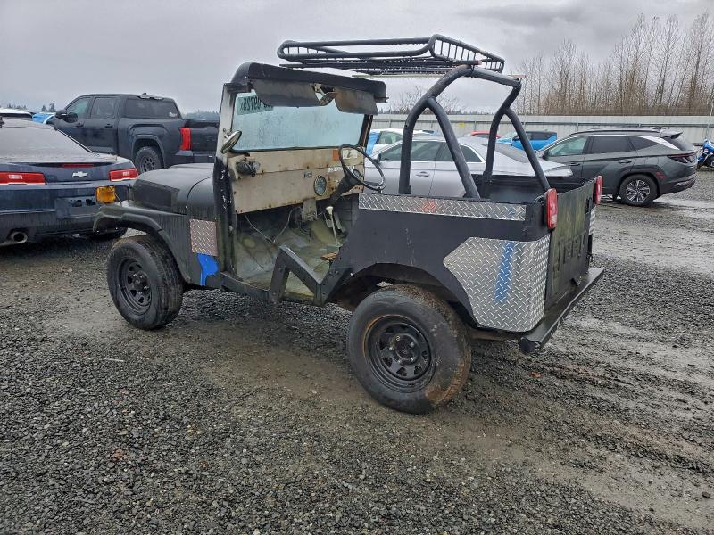 1979 AMERICAN MOTORS CJ5 #3304059541