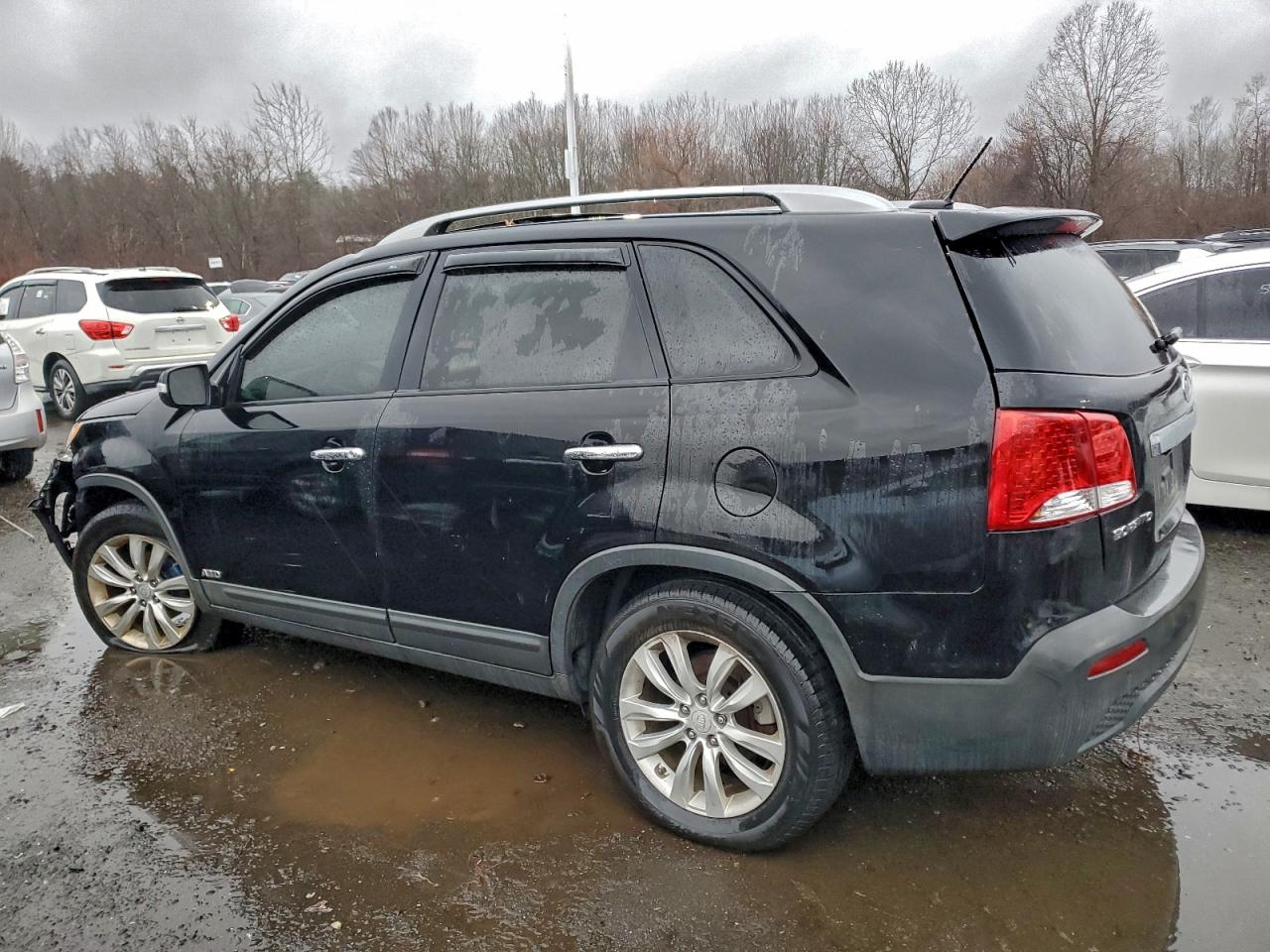 Lot #3319987194 2011 KIA SORENTO EX