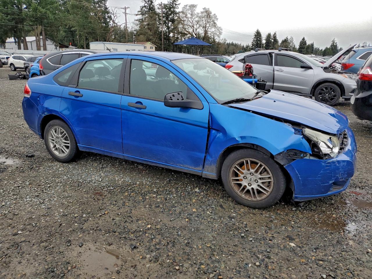 Lot #3311656263 2011 FORD FOCUS SE