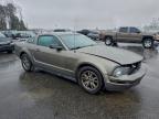 Lot #3303903714 2005 FORD MUSTANG