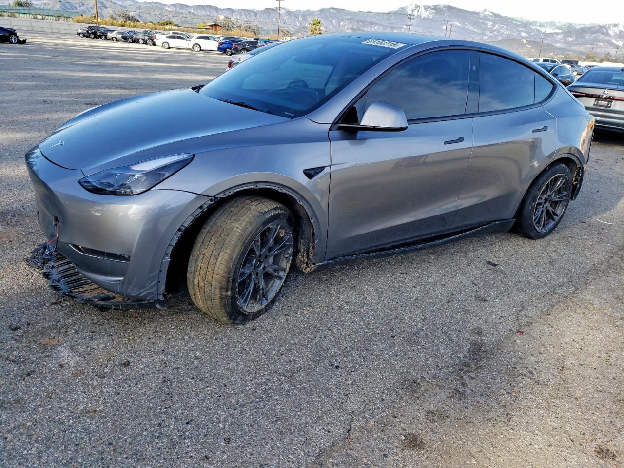 TESLA MODEL Y
