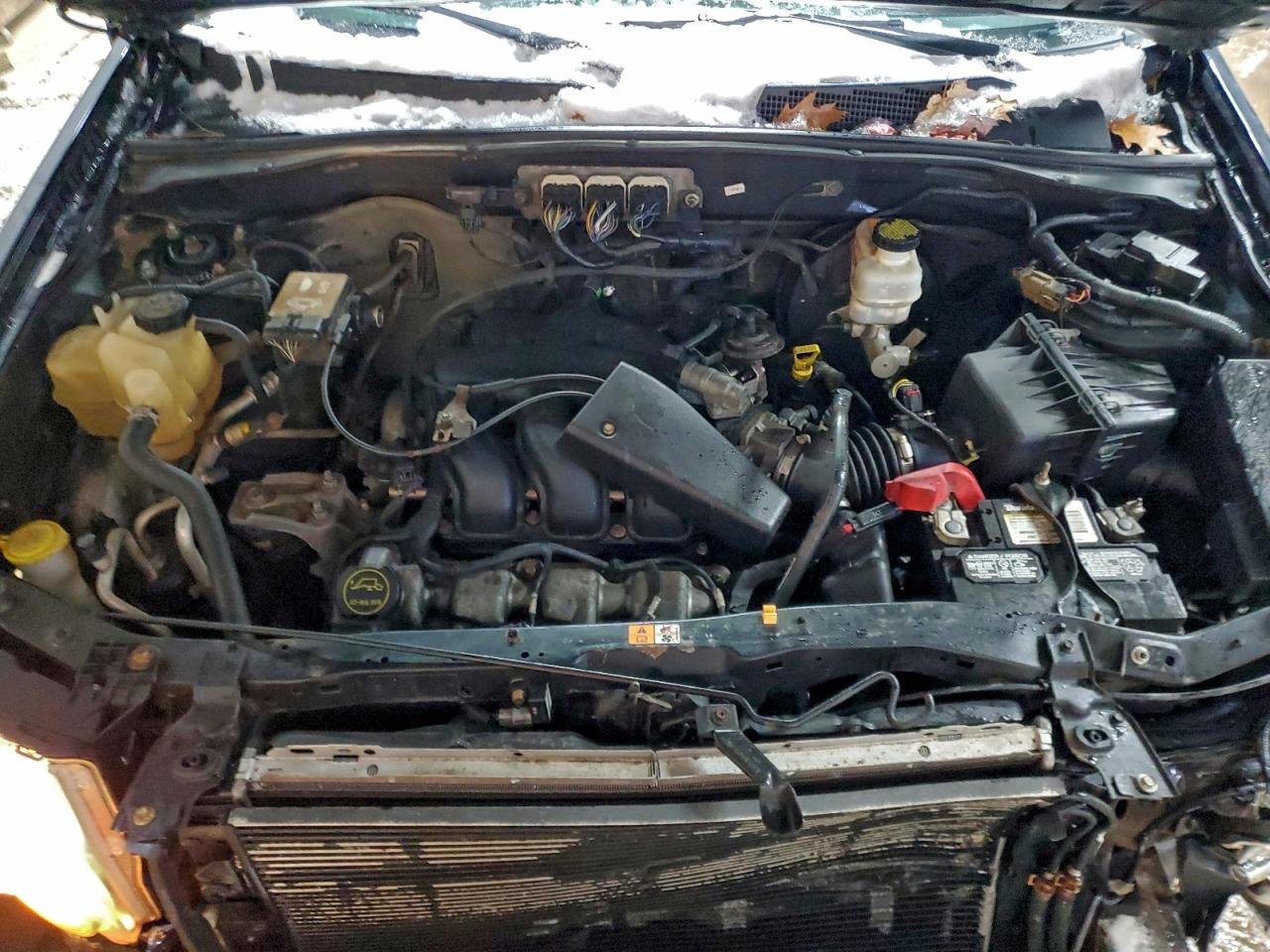 Lot #3302734100 2008 FORD ESCAPE LIM