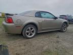 Lot #3315866194 2002 FORD MUSTANG GT