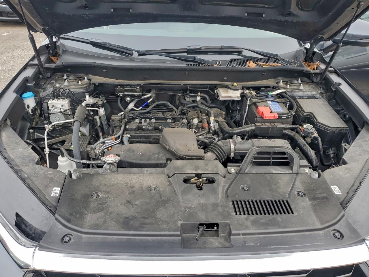 Lot #3302736065 2024 HONDA CR-V EX