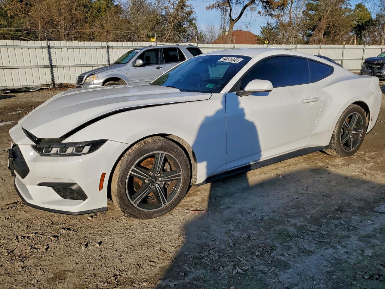 Lot #3315984125 2024 FORD MUSTANG
