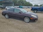 Lot #3301664652 2002 LEXUS ES 300