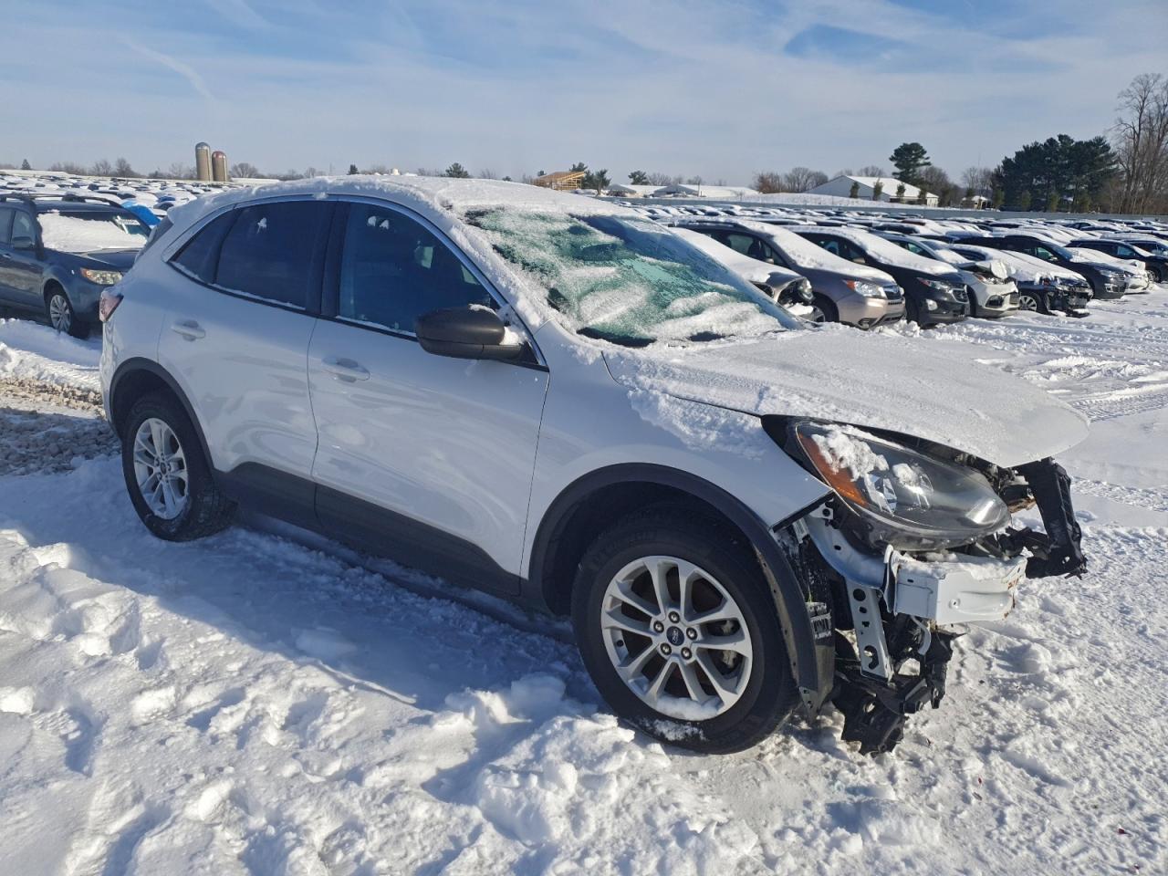 Lot #3316849691 2022 FORD ESCAPE SE