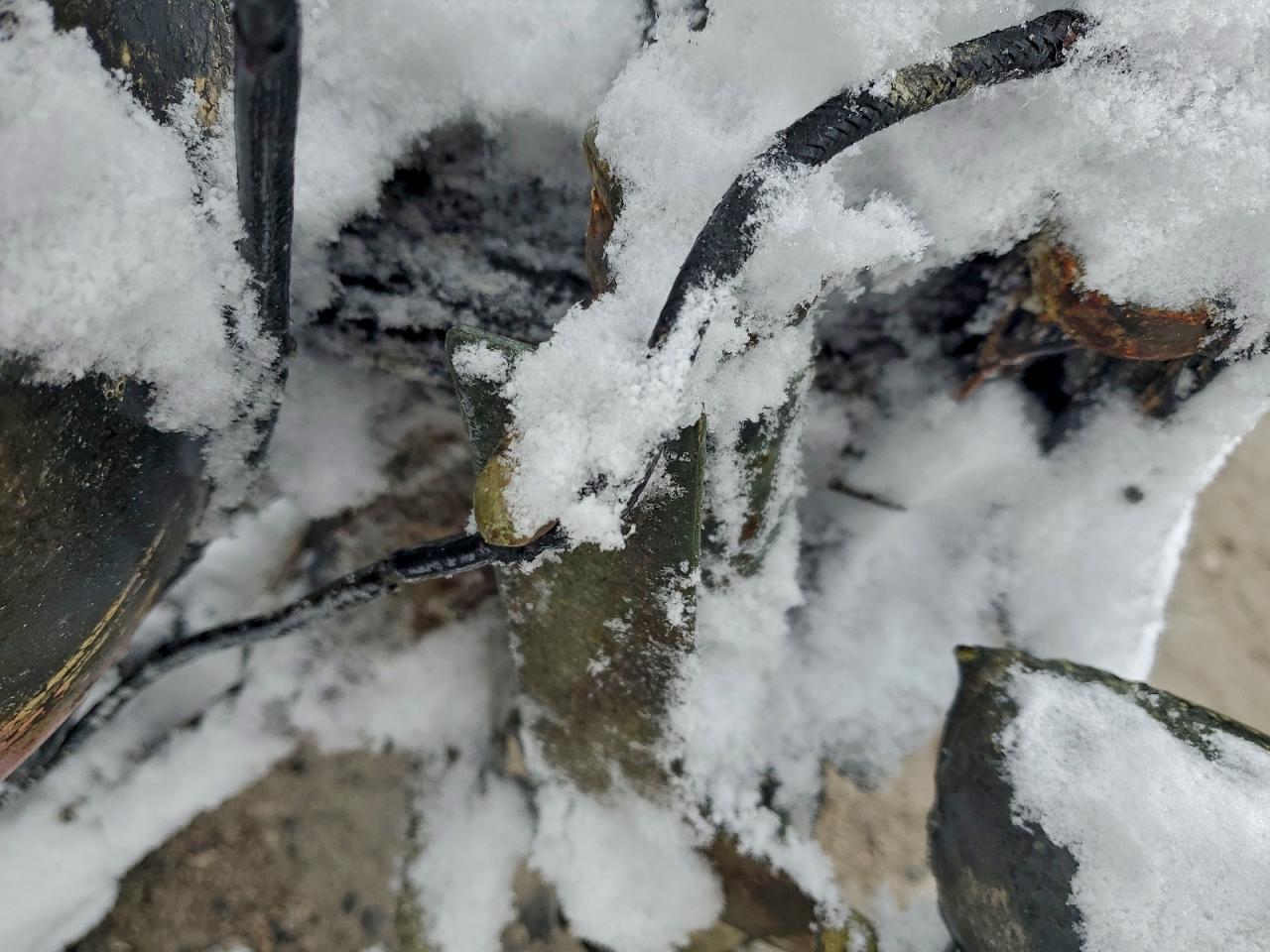 Lot #3302710031 2002 HARLEY-DAVIDSON FLHRCI