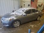 Lot #3303993731 2009 HONDA ACCORD EXL