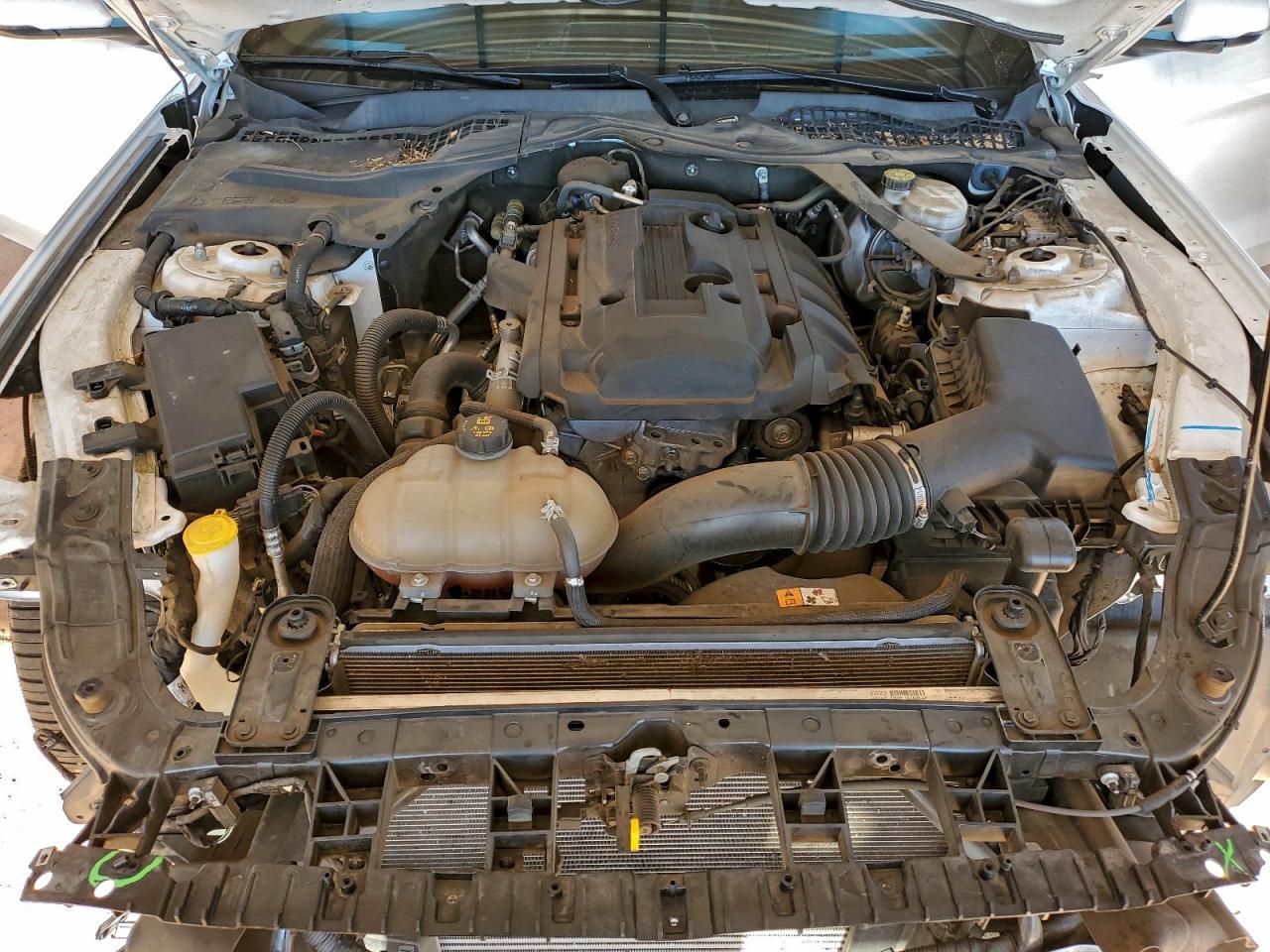 Lot #3309799342 2018 FORD MUSTANG