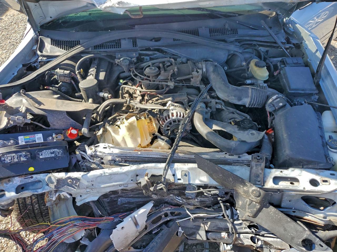 Lot #3315892096 1999 FORD CROWN VIC