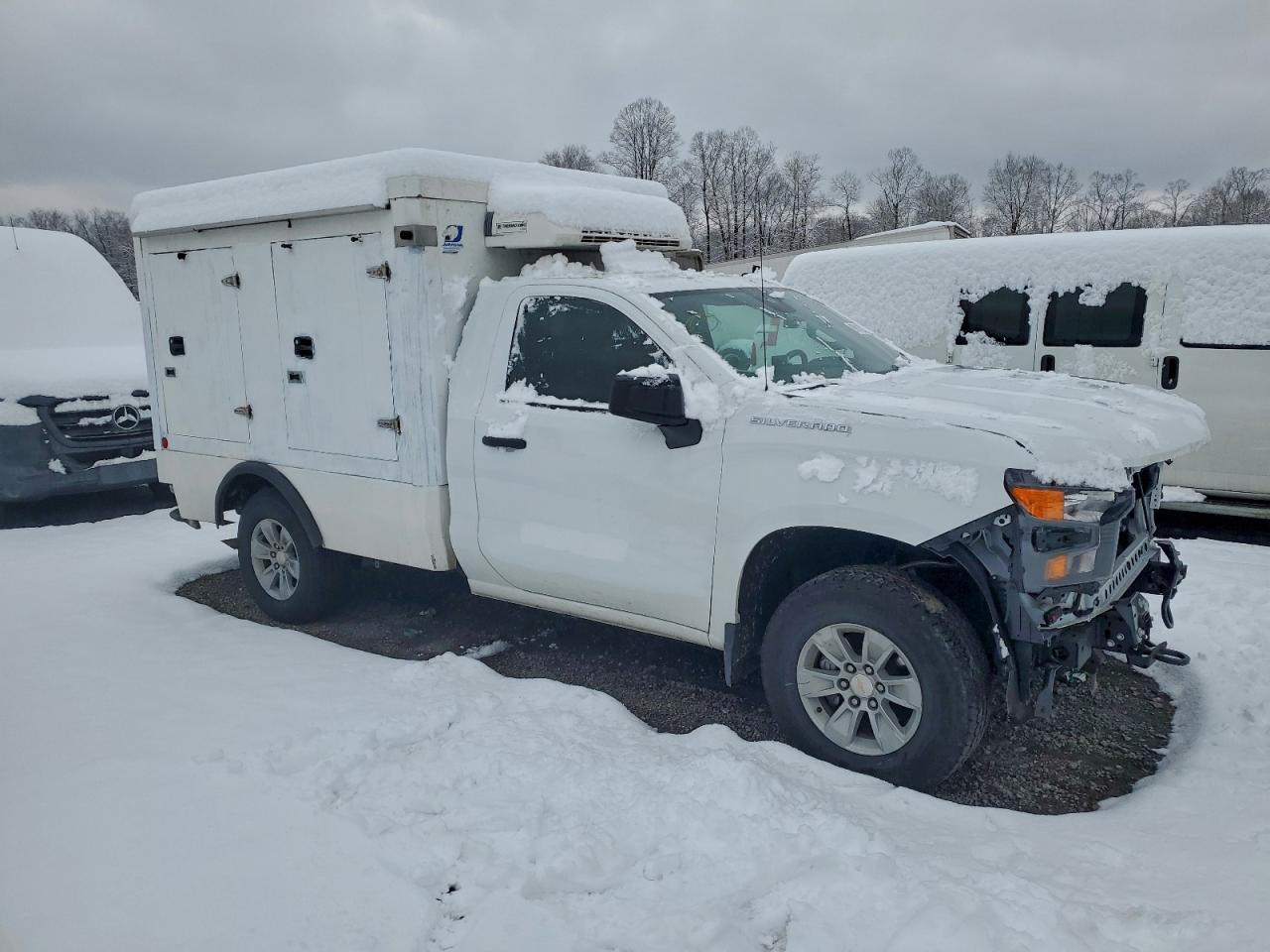 Lot #3302649020 2025 CHEVROLET SILVERADO