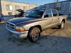 Lot #3308202178 2004 DODGE DAKOTA QUA