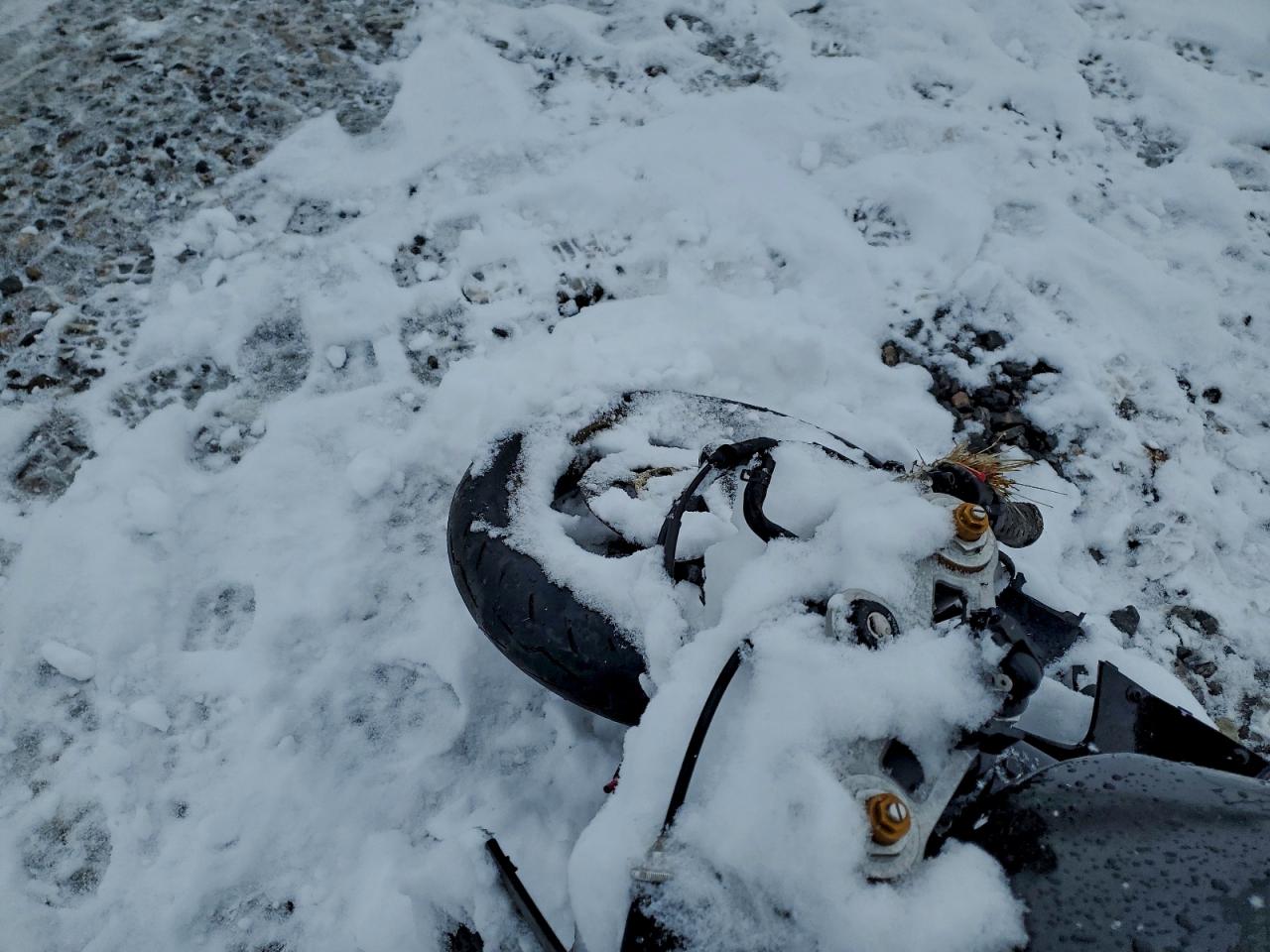 Lot #3308254152 2007 TRIUMPH MOTORCYCLE DAYTONA 67